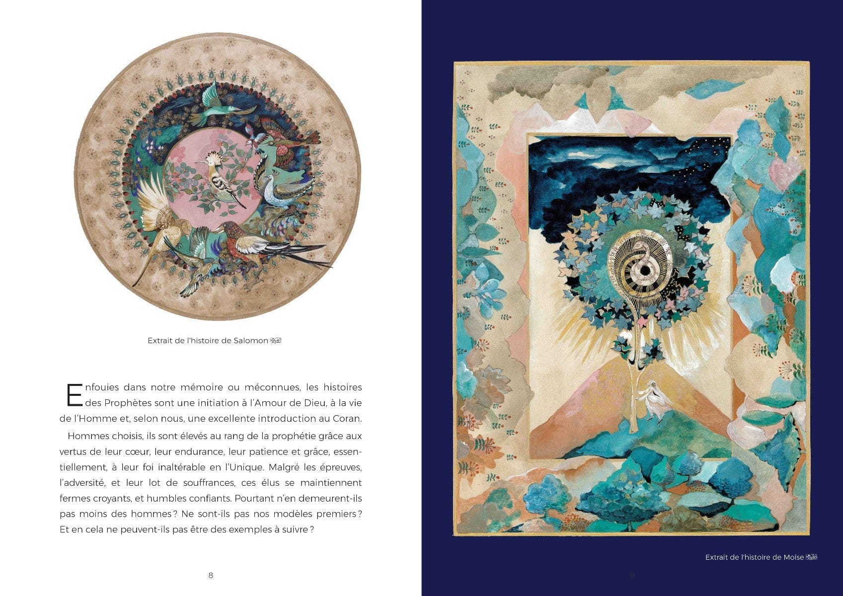 Livre Histoires Des Prophetes Dans Le Coran De Martine Lecoz de Martine Lecoz