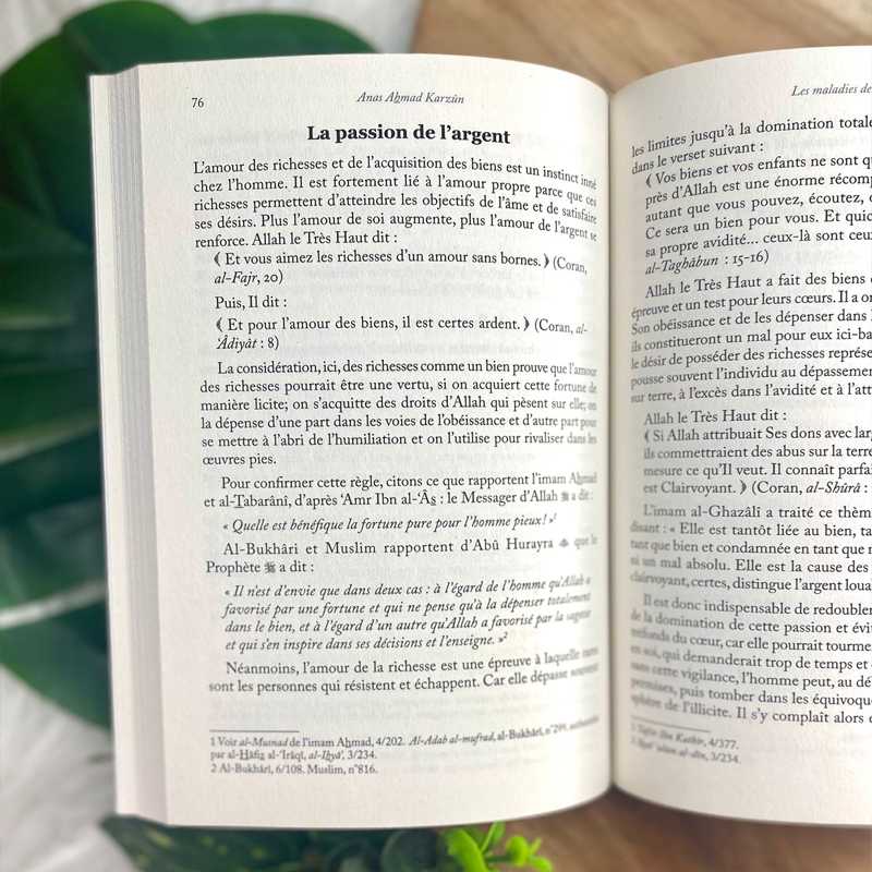 Livre Les Maladies De Lame Anas Ahmad Karzun Editions Al Hadith