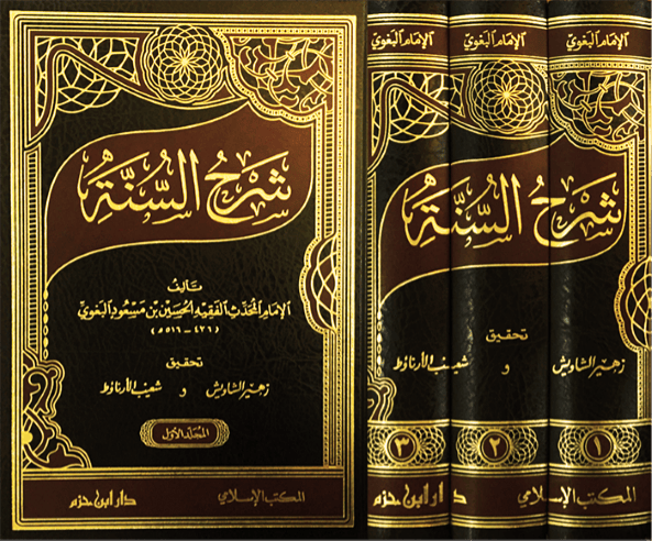 شرح السنة للبغوي Ibn Hazm Arabe Livre Arabe 9789959856395 Librairie Musulmane Al-imen