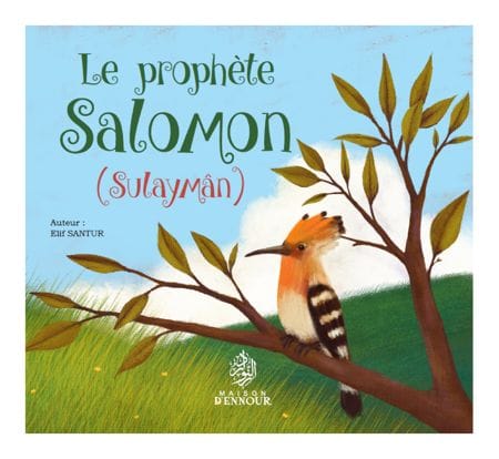 Le prophète Salomon (Sulaymân) — Fatma Kayhan Yilmaz | Éditions Maison d'Ennour Maison d'Ennour Livre Islam Enfant 9782752401502 Librairie Musulmane Al-imen
