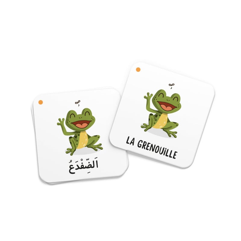 Mémo des animaux du Coran - DeeniLearn DeeniLearn Livres > Islam > Coran Librairie Musulmane Al-imen