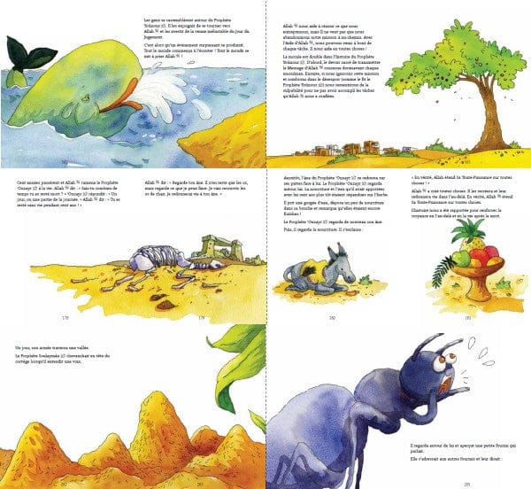 Mon Premier Coran : Livre d'Histoires — Saniyasnain Khan | Orientica | Livre Islam Enfant Orientica Livre Islam Enfant 9782356351098 Librairie Musulmane Al-imen