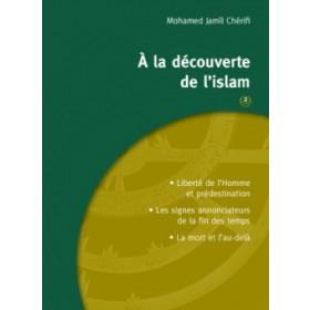 a-la-decouverte-de-lislam-tome-2